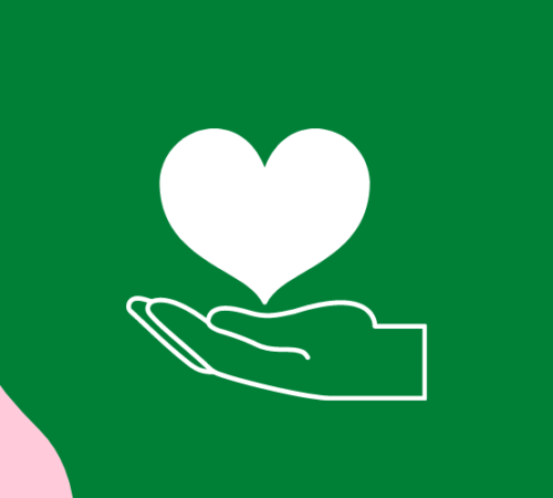 Projeto social: Turmas do 5º ano organizam doação de alimentos toda última sexta do mês