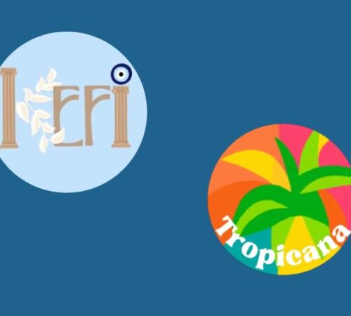 Empresas do Aprendendo a Empreender estão no Instagram