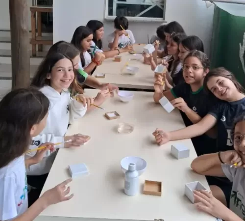 Aulas das Eletivas 2024.2 já começaram