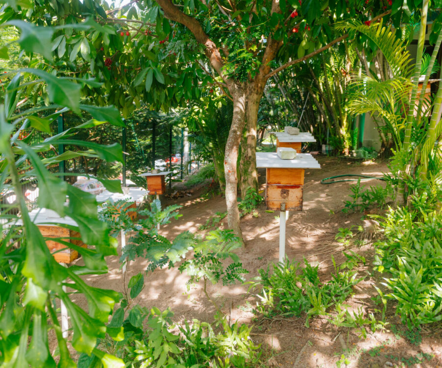 AngloBrasileiro2025_TayseArgoloFotografia-170